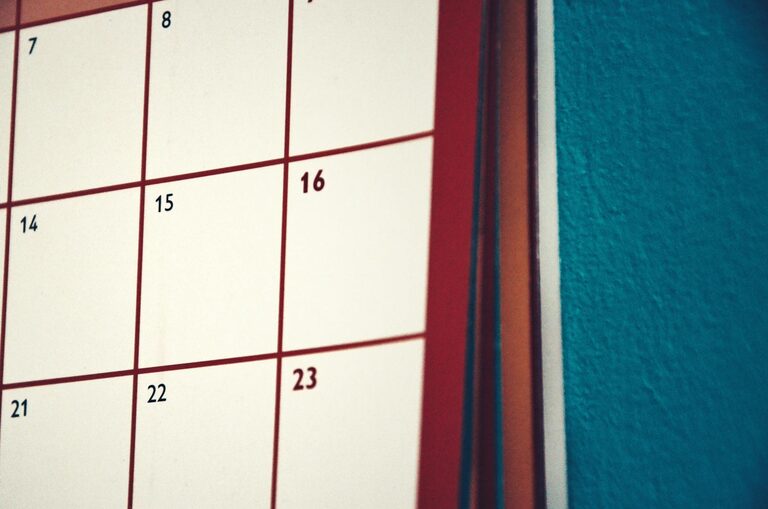 Simple Cleaning Schedule for the Whole Week to Stay Organized
